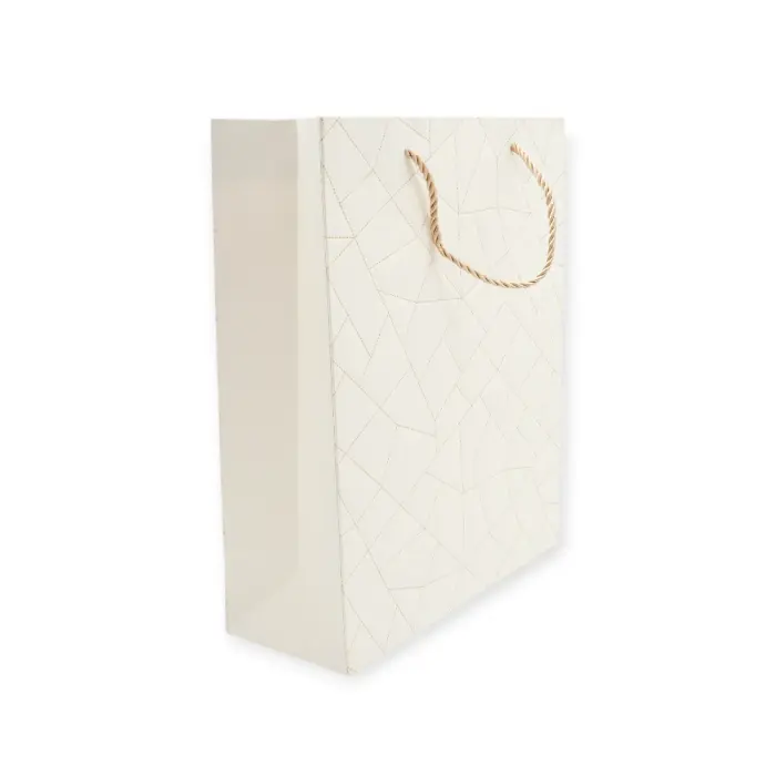 Paper Gift Bag - 1866-L - Gift cardboard bag, L size pg-16290 